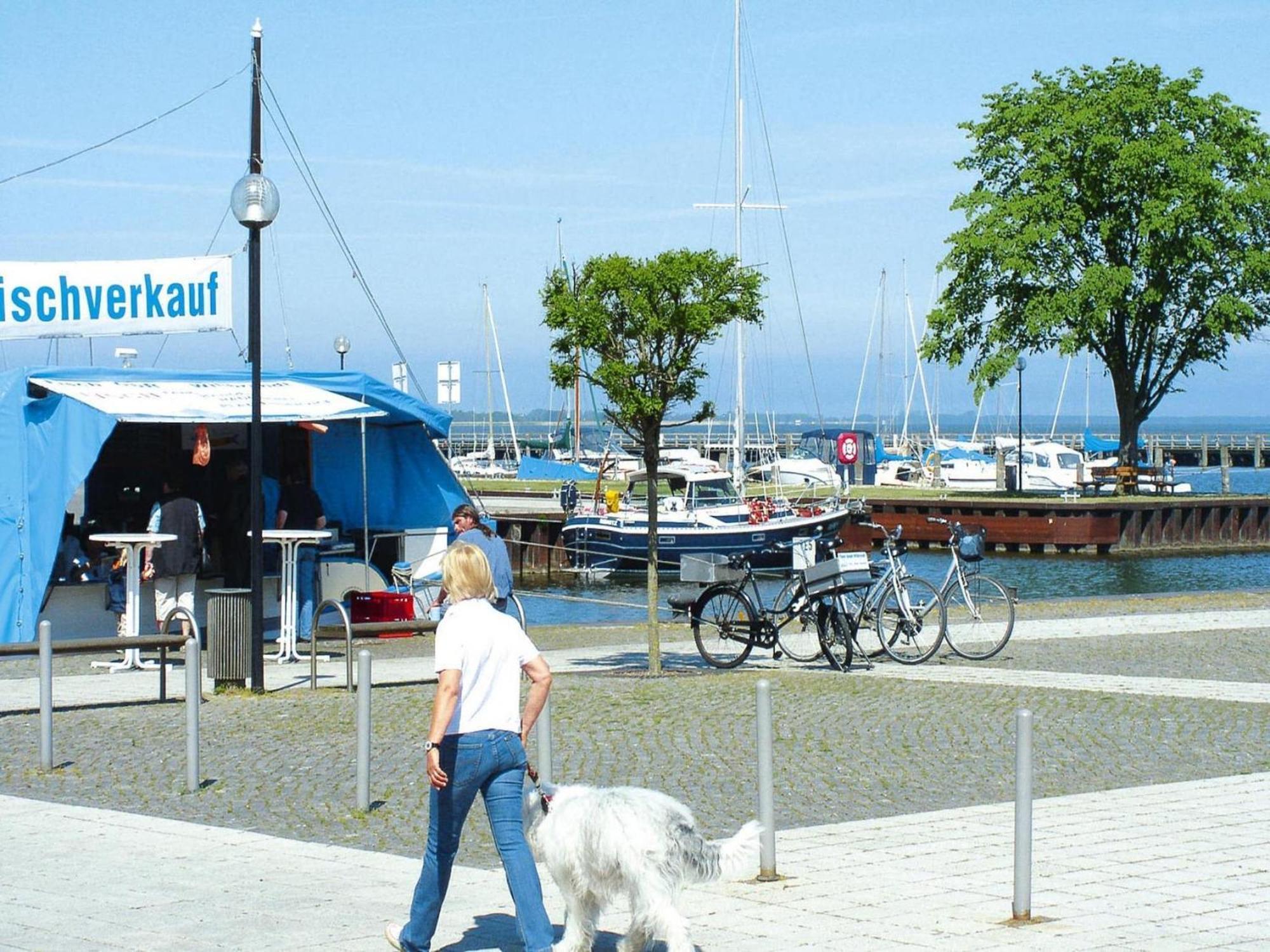 Ferienhaus In Ribnitz-Damgarten Dış mekan fotoğraf
